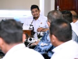 Kembalikan Kejayaan Jeruk Karo, Bobby Nasution Putuskan Intervensi Penanganan Hama Lalat Buah Secara Masif