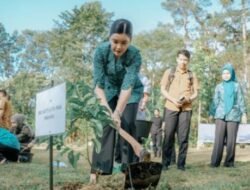 Dukung Lingkungan Lestari, Kahiyang Ayu Ajak PKK Sumut Tanam Pohon