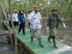 Menhut Targetkan Penanaman Mangrove M4CR Seluas 15.387 Hektare di 4 Provinsi Selama 2025