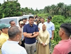 Bangun Kembali Tujuh Jembatan Penghubung Destinasi Wisata Langkat,  Bobby Nasution Dorong Pemkab Ambil Alih