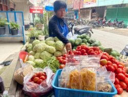 Didukung Pembiayaan Ultra Mikro BRI, Pedagang Sayur di Karo Mampu Kembangkan Usaha