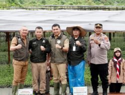Peringati Hari Menanam Pohon Indonesia, Penanaman Mangrove di Sumut Capai 8.307 Hektare
