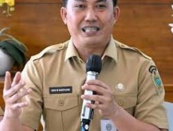 Kadis LHK Sumut Instruksikan PT TPL Hentikan Seluruh Kegiatan Penebangan dan Pengangkutan Kayu Eucalyptus