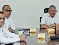Pemprov Sumut Targetkan Penyusunan R3P Selesai Akhir Januari