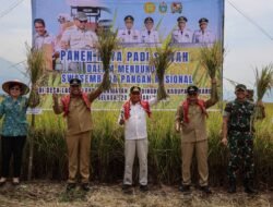 Panen Raya Padi di Karo, Wagub Surya Pastikan Keberpihakan Pemerintah kepada Petani