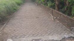 Kades Desa Hulu Kecamatan Pancur Batu Deliserdang Gunakan DD Tanpa Musyawarah Warga