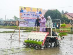 Penanaman Uji Coba IP 300, Target 1 Ha Hasilkan 9 Ton Bukan Hal Mustahil