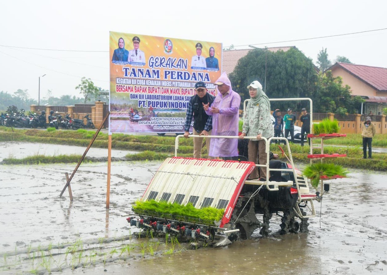 Penanaman Uji Coba IP 300, Target 1 Ha Hasilkan 9 Ton Bukan Hal Mustahil