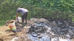 Balai Besar POM Medan Temukan dan Musnahkan Produksi Lengkong Hitam Berformalin di Langkat