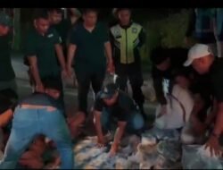 Satres Narkoba Polres Deliserdang Berasil Gagalkan Upaya Penyeludupan Narkoba Jumlah Besar