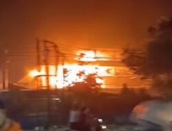 Sijago Merah Lahap PT Agro Jaya Perdana