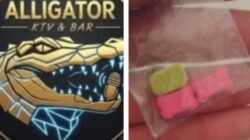Diduga Kembali Beroperasi, Aligator KTV & Bar Jadi Sorotan Terkait Dugaan Peredaran Narkoba