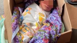 Bayi Laki-Laki Ditemukan Dalam Kardus di Tanjung Mulia, Polisi Bergerak Cepat Lakukan Evakuasi