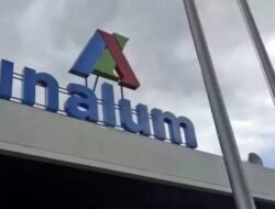 Direktur PT SSE Surati Presiden, Ungkap Dugaan Korupsi Pengadaan di PT Inalum