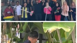 Hari Lingkungan Hidup Sedunia 2026, Medan Deli Bergerak Aksi Nyata Mewujudkan Kota Asri dan Berkelanjutan