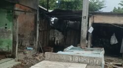 Gerombolan Rayap Besi Semakin Merajalela, Pasar Tradisional Marelan jadi Makanan Empuk