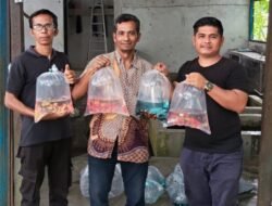 Poktan Bina Pelita Terima Bantuan Bibit Ikan, Meningkatkan Ketahanan Pangan