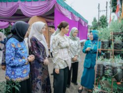 Kahiyang Ayu Apresiasi Program AKU HATINYA PKK di Tebingtinggi