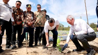 Temasek Singapura Jajaki Kerja Sama di TSTH2, Wagub Sumut Tegaskan Komitmen Kembangkan Pusat Bioekonomi Tropis