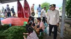 Ekonomi Masyarakat Nias Utara Terdongkrak dari Rumput Laut, Wagub Surya Dorong Hilirisasi
