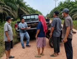 Ahli Waris Longgu Tamba Laporkan Dugaan Pencurian 50 Janjang Sawit di Tengah Sengketa Dokumen Tanah