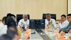 Pemprov Sumut Kembangkan 9.624 Hektare Bawang Putih, Dorong Kemandirian Pangan