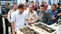 Sumut Perkuat Pasar Ekspor, Komoditas Unggulan Rp258,9 M Dikirim ke Berbagai Negara