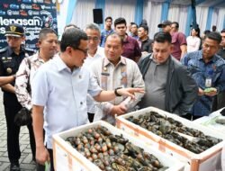 Sumut Perkuat Pasar Ekspor, Komoditas Unggulan Rp258,9 M Dikirim ke Berbagai Negara